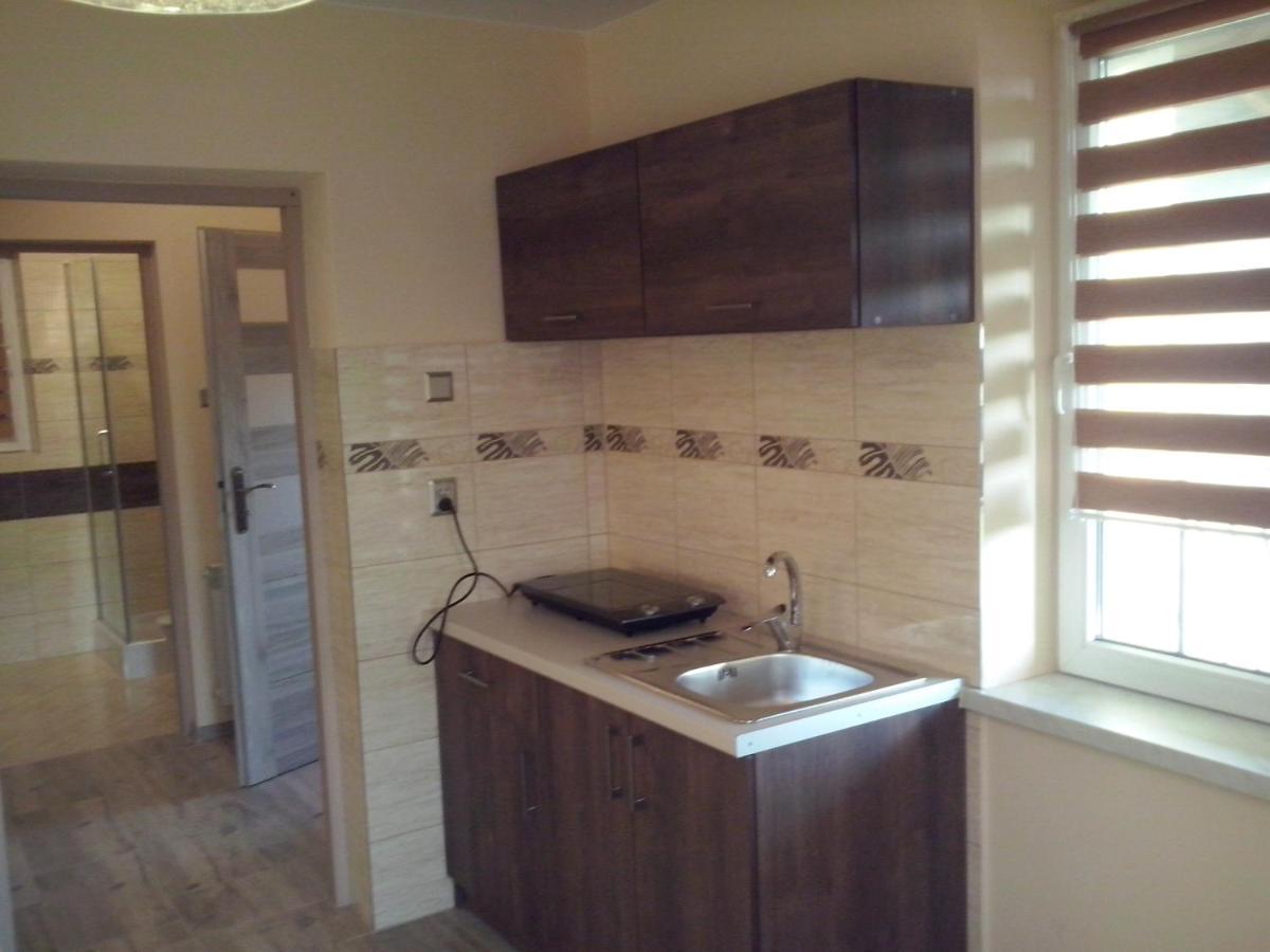 Apartament Orlik Tylicz Exterior foto